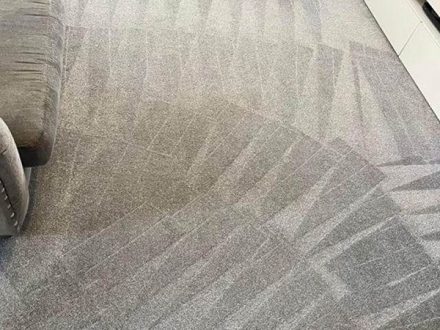 carpet-cleaning-kireth-ai (15)